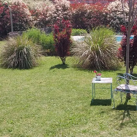 Las Nativas de Areco-2