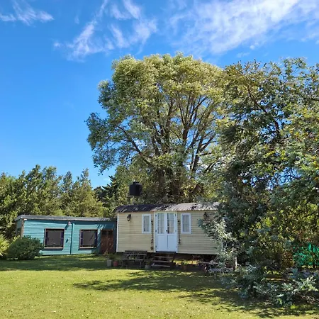Las Nativas de Areco-3